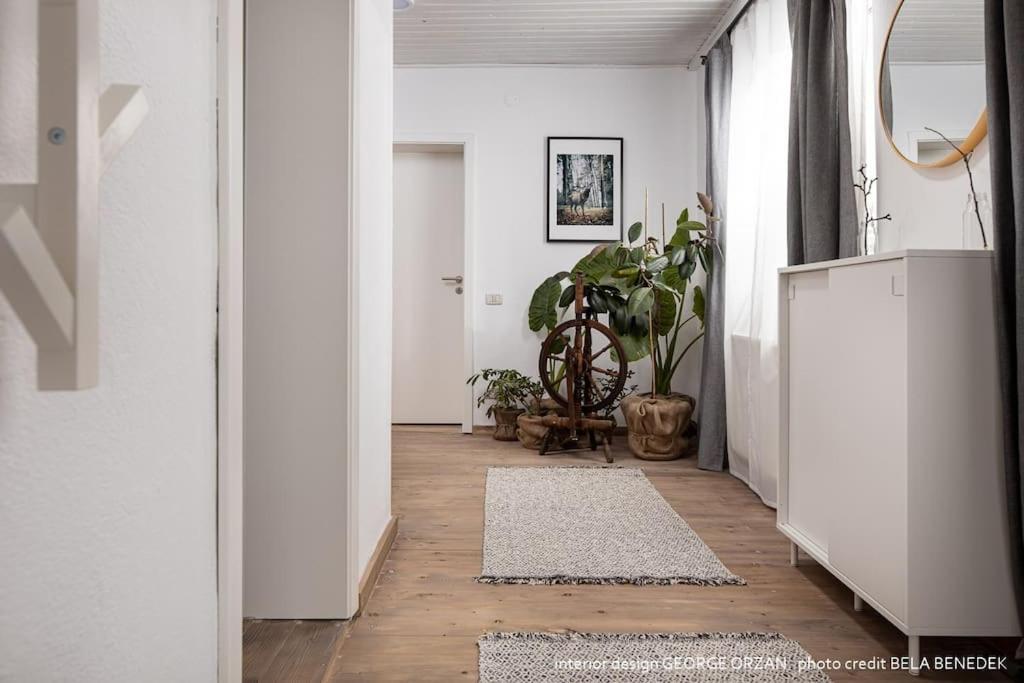 Casa269B - Cozy House With Scandinavian Design Moieciu de Jos Eksteriør bilde