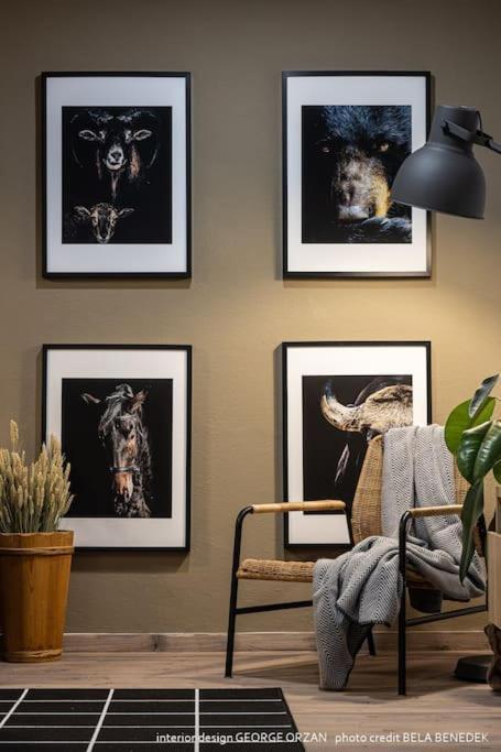 Casa269B - Cozy House With Scandinavian Design Moieciu de Jos Eksteriør bilde