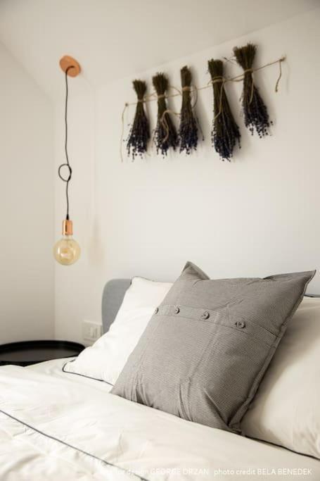 Casa269B - Cozy House With Scandinavian Design Moieciu de Jos Eksteriør bilde